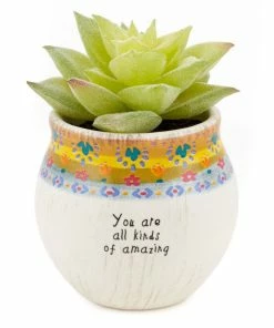 Natural Life Faux Succulent All Kinds Of Amazing Mini Planter, 2"