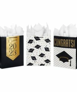 Hallmark 13" Assorted Grad Designs 3-Pack Large Gift Bags With Tissue Paper