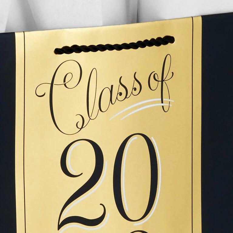 Hallmark 13" Assorted Grad Designs 3-Pack Large Gift Bags With Tissue Paper 6 Hallmark 13" Assorted Grad Designs 3-Pack Large Gift Bags With Tissue Paper - Image 6