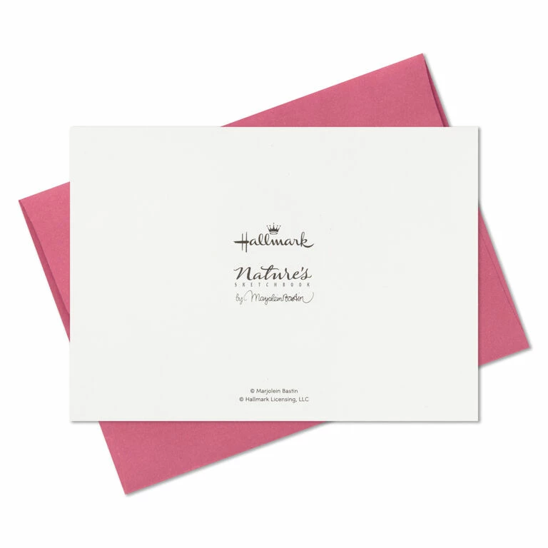 Hallmark Marjolein Bastin Assorted Blank Nature Note Cards In Caddy, Pack Of 24 9 Hallmark Marjolein Bastin Assorted Blank Nature Note Cards In Caddy, Pack Of 24 - Image 9