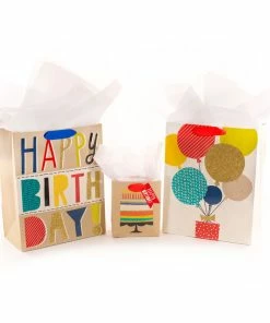 Hallmark Bold Birthday 3-Pack Assorted Gift Bags With Tissue