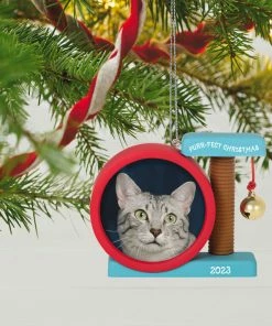 Hallmark Purr-fect Christmas 2023 Photo Frame Ornament -Department Store Shop Cat Scratcher Toy Picture Frame Keepsake Ornament 1599QGO2597 02