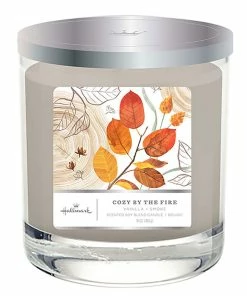 Hallmark Cozy By The Fire 3-Wick Jar Candle, 16 Oz.