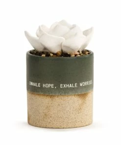 Demdaco Hope Succulent Oil Diffuser