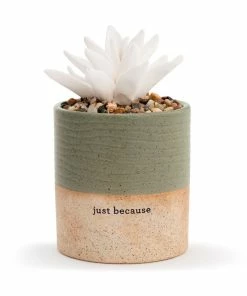 Demdaco Just Because Succulent Oil Diffuser