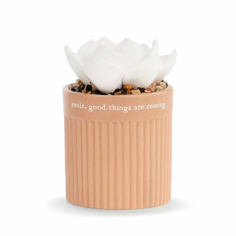 Demdaco Smile Succulent Oil Diffuser 1 Demdaco Smile Succulent Oil Diffuser