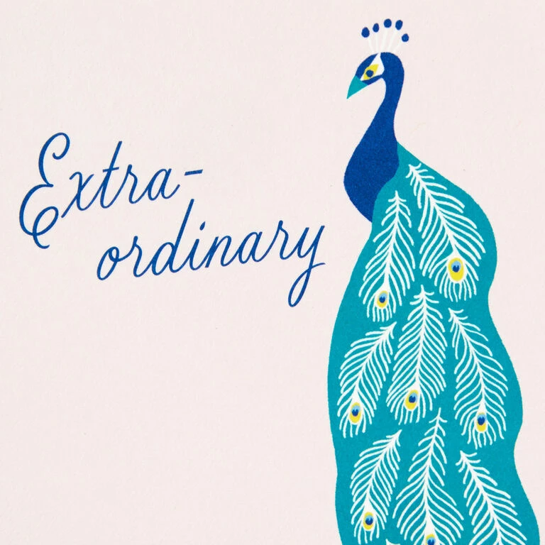 Hallmark Exotic Animals Assorted Blank Thank-You Notes, Pack Of 48 3 Hallmark Exotic Animals Assorted Blank Thank-You Notes, Pack Of 48 - Image 3