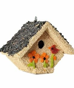 Mr. Bird Spring Fruit Casita Birdhouse