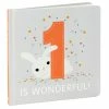 Hallmark One Is Wonderful! Birthday Book