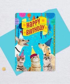 Hallmark 16" Party Cats And Dogs Jumbo Birthday Card From All -Department Store Shop Party Cats Dogs Birthday Card From Us 1299CBG3004 05