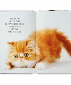 Hallmark Pet Prayers: Funny Pleas And Praise From Our Animal Friends Book -Department Store Shop Pet Prayers Funny Pleas and Praise From Our Animal Friends Book root 1BOK1418 BOK1418 1470 3.jpg Source Image