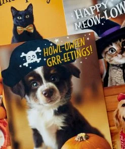 Hallmark Pet Puns Boxed Halloween Cards Assortment, Pack Of 48 -Department Store Shop Pet Puns Boxed Halloween Cards Assortment 5ELT1013 03