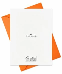 Hallmark Pet Puns Boxed Halloween Cards Assortment, Pack Of 48 -Department Store Shop Pet Puns Boxed Halloween Cards Assortment 5ELT1013 05