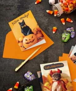 Hallmark Pet Puns Boxed Halloween Cards Assortment, Pack Of 48 -Department Store Shop Pet Puns Boxed Halloween Cards Assortment 5ELT1013 06