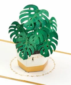 Hallmark Plant In Pot 3D Pop-Up Thinking Of You Card
