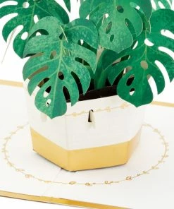Hallmark Plant In Pot 3D Pop-Up Thinking Of You Card 11 Hallmark Plant In Pot 3D Pop-Up Thinking Of You Card -Department Store Shop Plant in Pot 3D PopUp Thinking of You Card 1299LAD2900 03