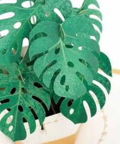 Hallmark Plant In Pot 3D Pop-Up Thinking Of You Card 12 Hallmark Plant In Pot 3D Pop-Up Thinking Of You Card -Department Store Shop Plant in Pot 3D PopUp Thinking of You Card 1299LAD2900 04