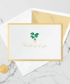 Hallmark Plant In Pot 3D Pop-Up Thinking Of You Card 13 Hallmark Plant In Pot 3D Pop-Up Thinking Of You Card -Department Store Shop Plant in Pot 3D PopUp Thinking of You Card 1299LAD2900 05