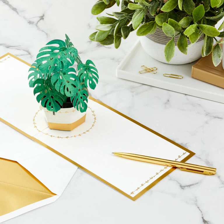 Hallmark Plant In Pot 3D Pop-Up Thinking Of You Card 7 Hallmark Plant In Pot 3D Pop-Up Thinking Of You Card - Image 7