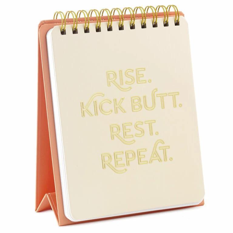 Hallmark Kick Butt, Repeat Easel Notebook 2 Hallmark Kick Butt, Repeat Easel Notebook - Image 2