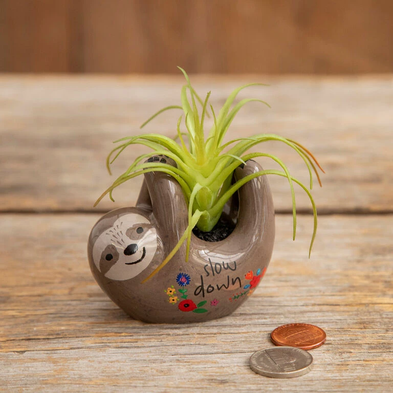 Natural Life Faux Succulent In Sloth Planter, 2" 1 Natural Life Faux Succulent In Sloth Planter, 2"