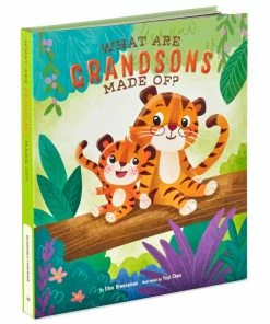 Hallmark What Are Grandsons Made Of? Recordable Storybook