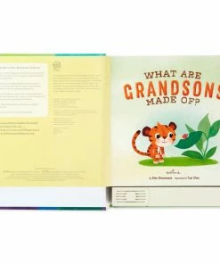 Hallmark What Are Grandsons Made Of? Recordable Storybook -Department Store Shop What Are Grandsons Made Of Recordable Storybook 1KOB1230 03